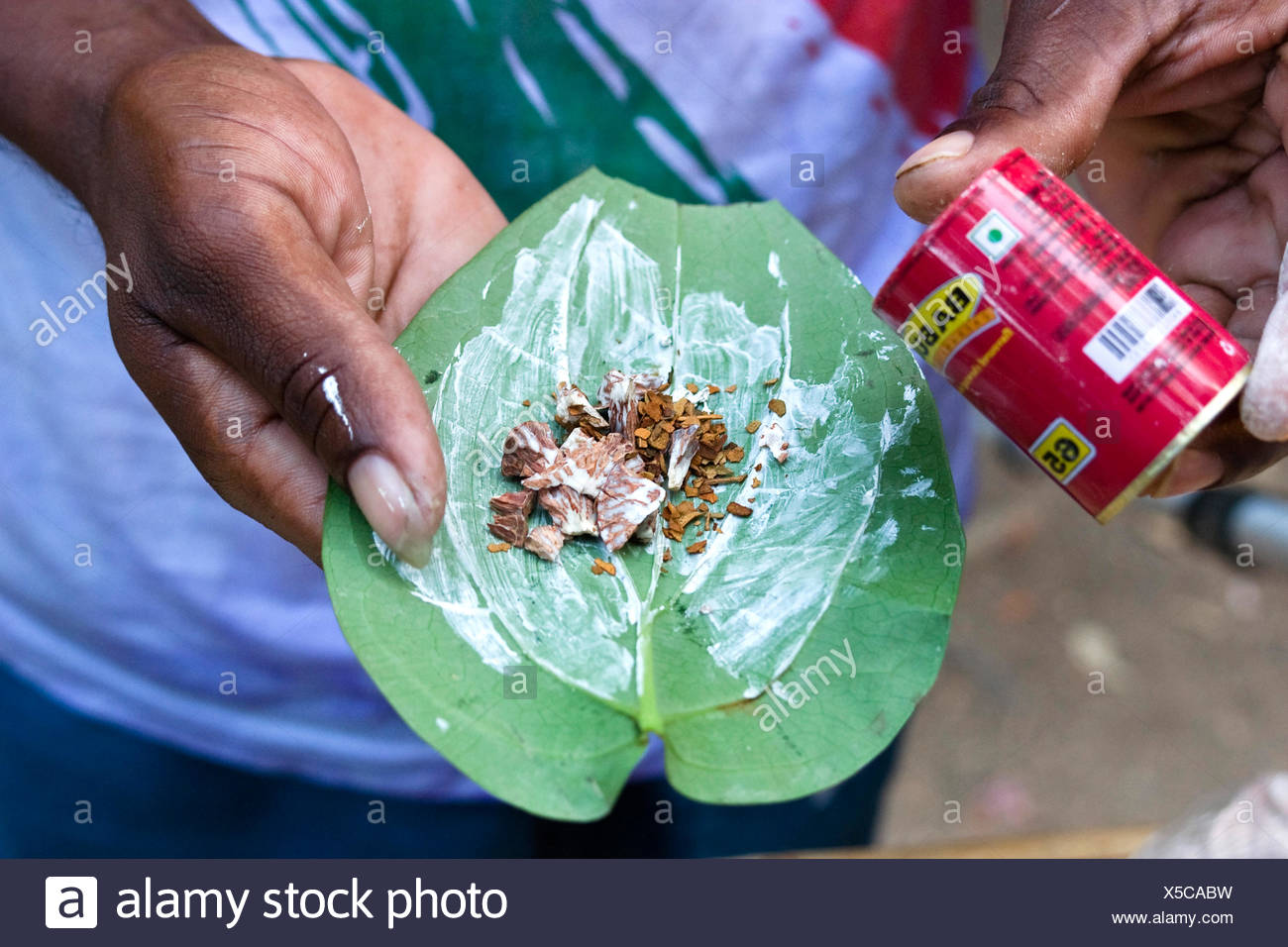 India Betelnut High Resolution Stock Photography and Images - Alamy
