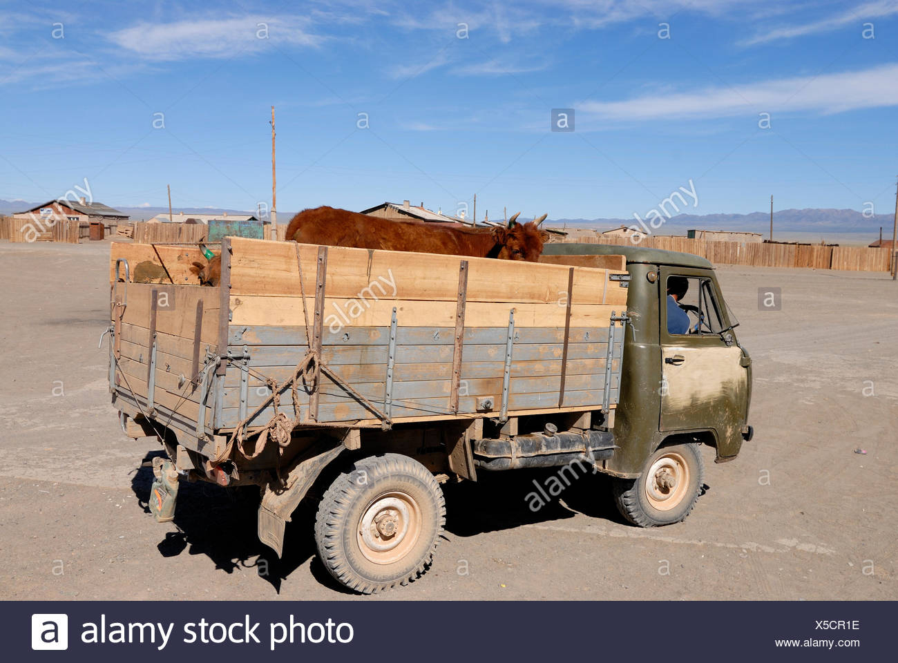 Livestock Transport High Resolution Stock Photography and Images Alamy