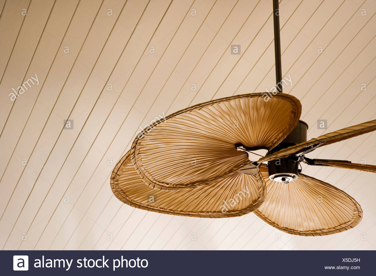 Detail Of Beach Style Ceiling Fan Stock Photo 278738813 Alamy