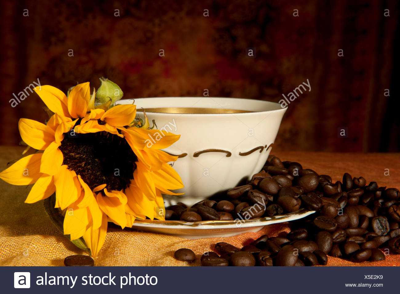 sunflower bibs