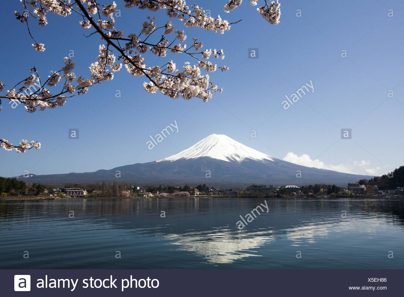 Sayama Japan High Resolution Stock Photography and Images Alamy