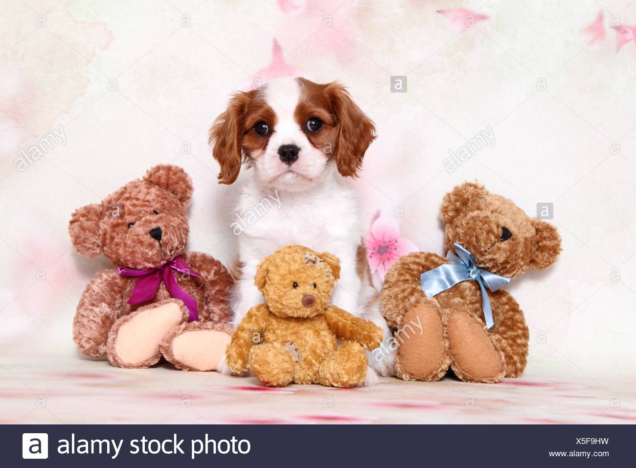 ruby cavalier king charles spaniel stuffed animal