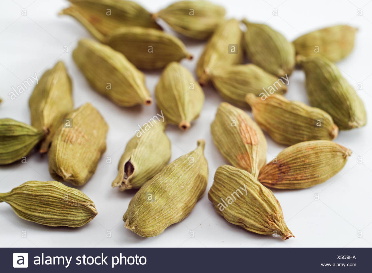 Cardamon Plant Stock Photos & Cardamon Plant Stock Images Alamy