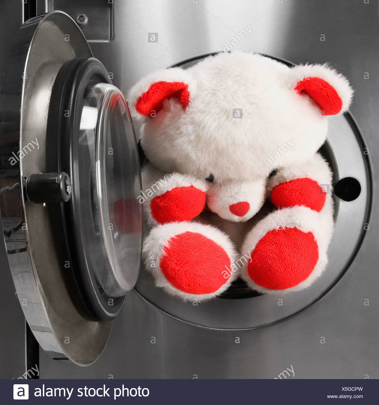 teddy bear in washing machine