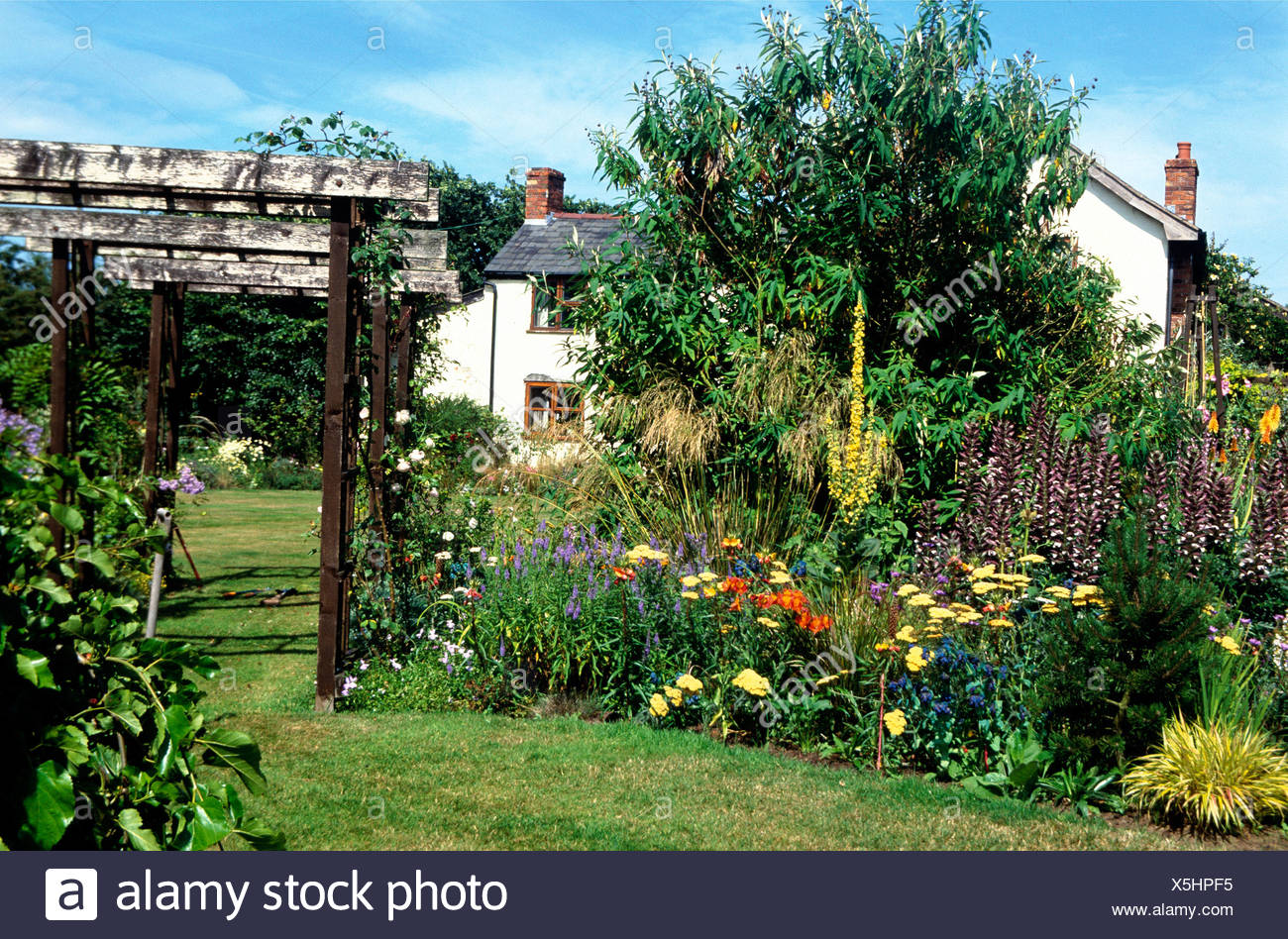 Donadea Lodge Babell Flintshire Garden Neat Green Lawn