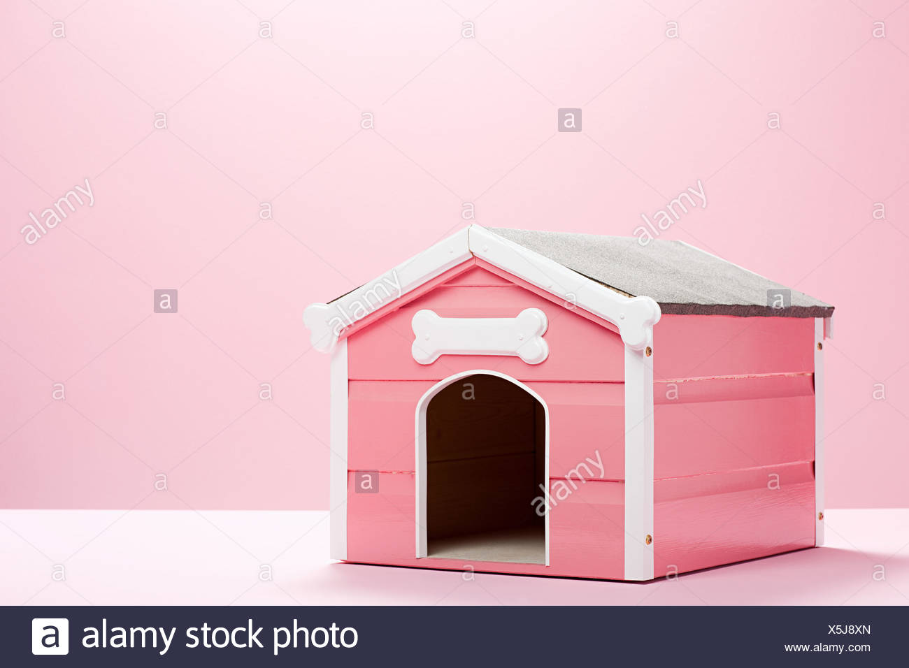 Dog With Kennel High Resolution Stock Photography and Images Alamy