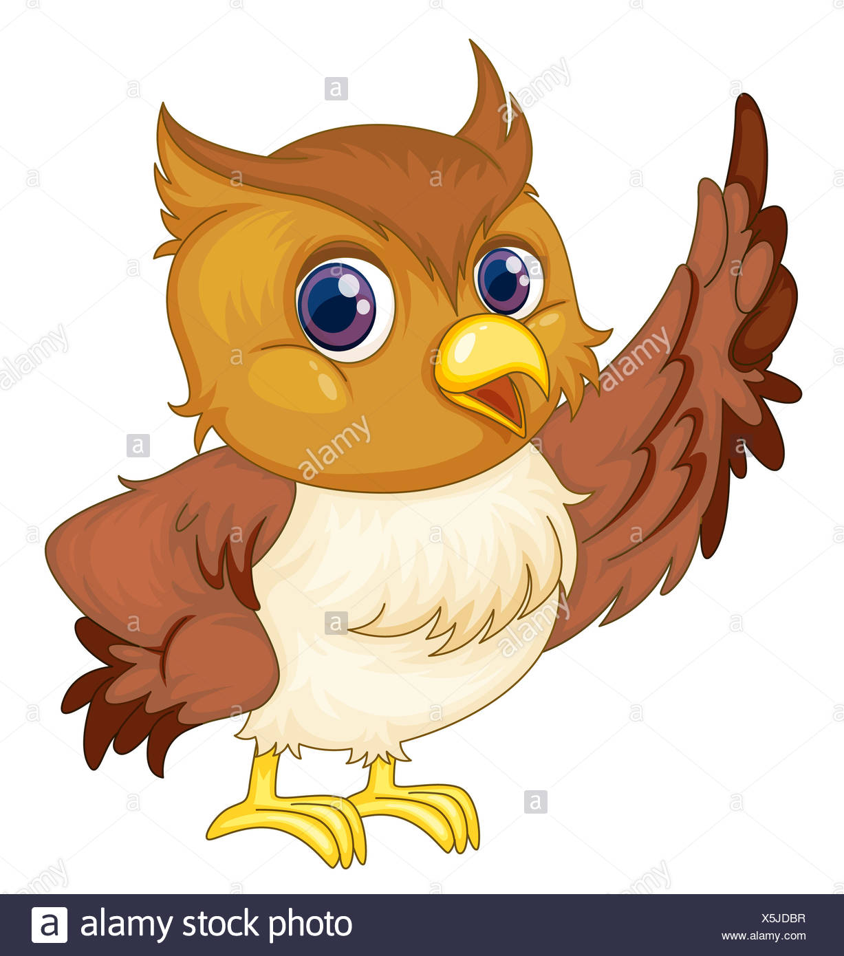 Legs Object Isolated Animal Bird Wild Eyes Look Glancing