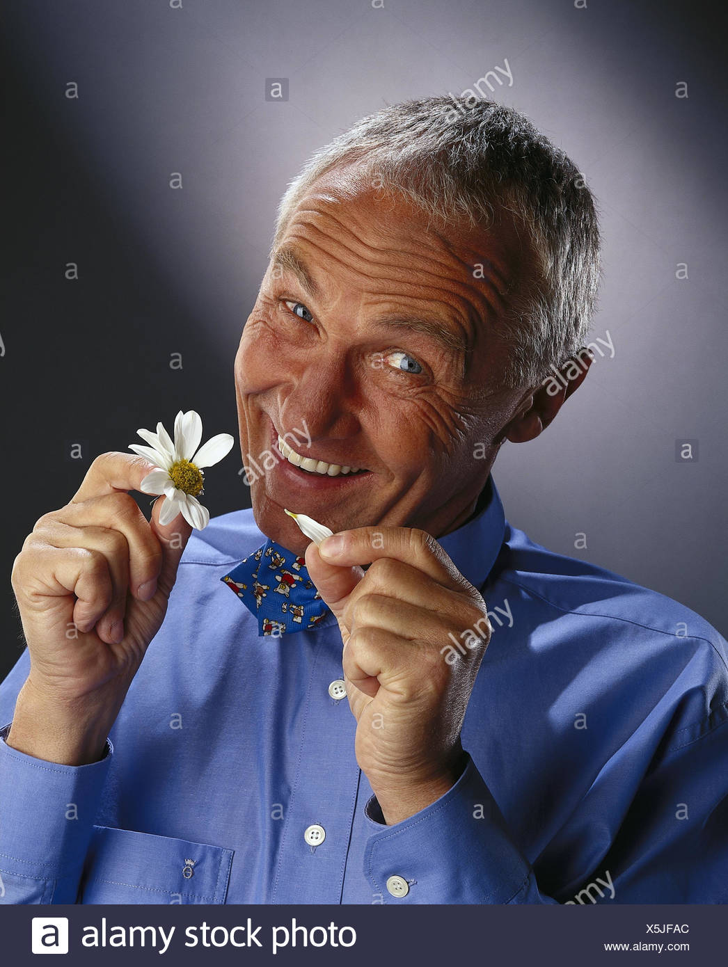 Man Margerite You Loves Me She Does Not Love Me Mb 284 Stock Photo Alamy Man Margerite You Loves Me She Does Not Love Me Mb 284 Stock Photo Alamy