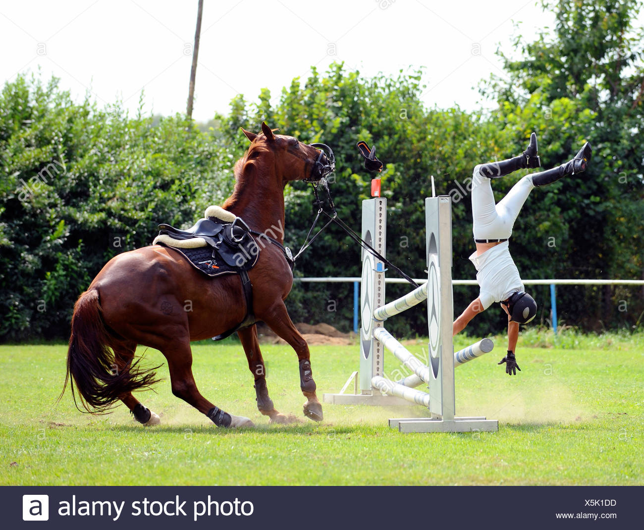 Rider Falling Off Horse High Resolution Stock Photography and Images