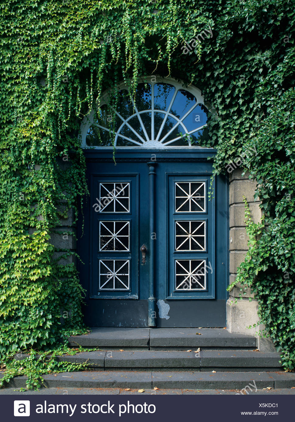 Door Entrance House Covered Ivy High Resolution Stock Photography and ...