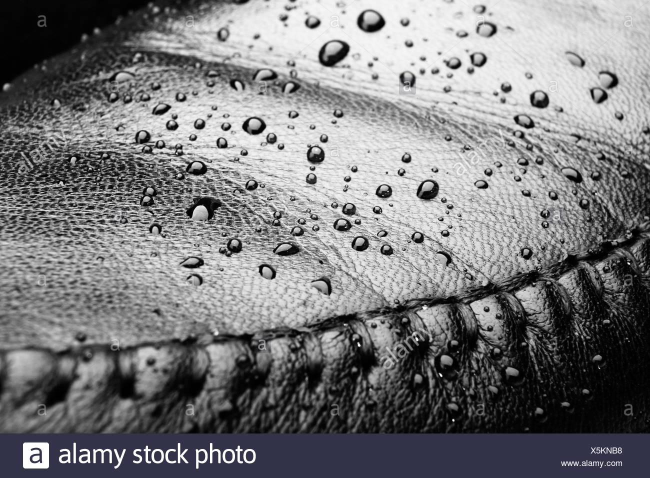 wet shoes near me