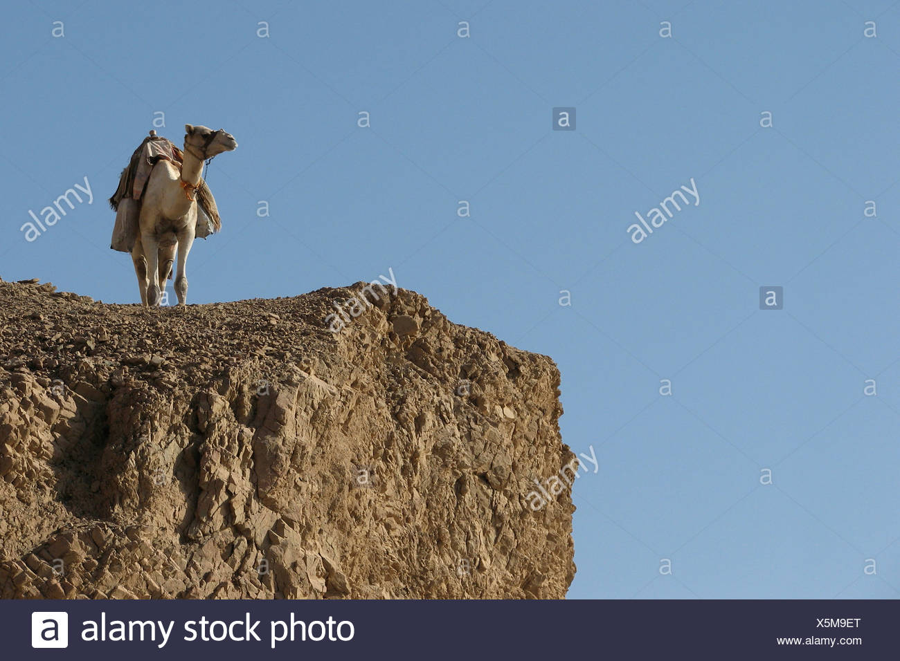 Farbfotografie High Resolution Stock Photography And Images Alamy