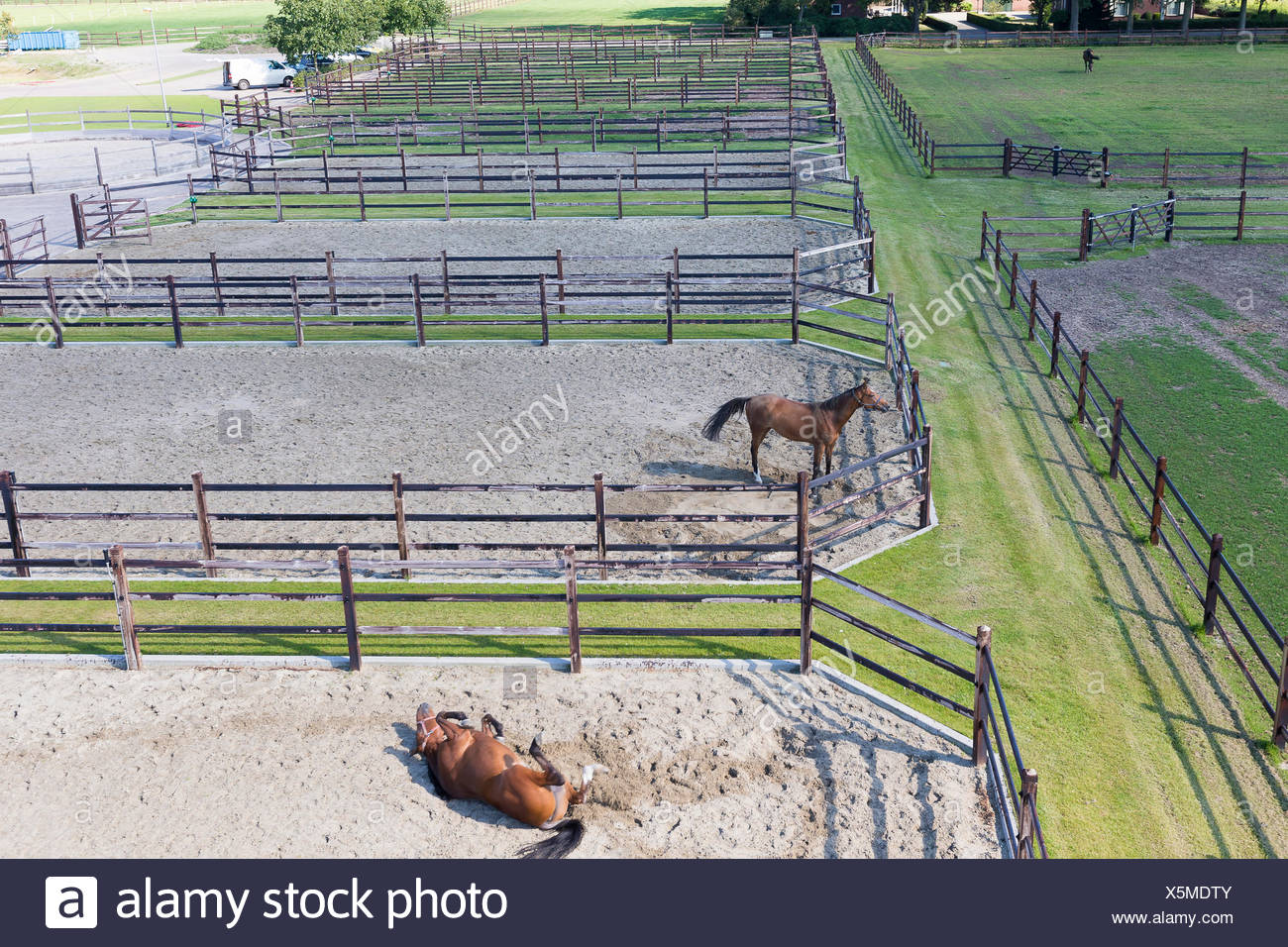 Sand Paddocks Stock Photos & Sand Paddocks Stock Images Alamy