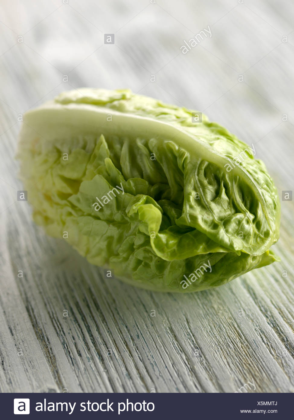 Lettuce Heart High Resolution Stock Photography and Images Alamy