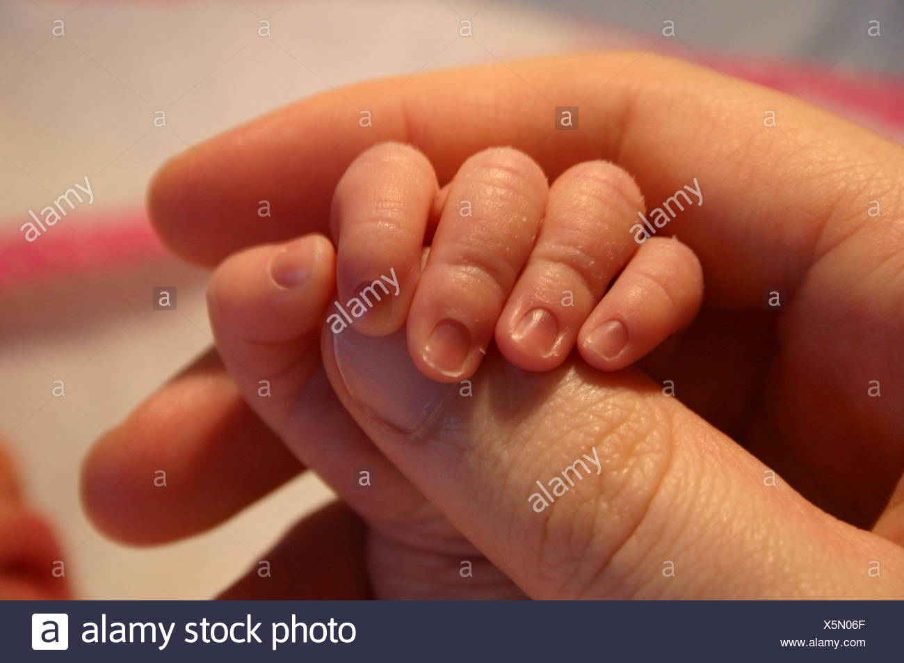 Hand Hands Finger Baby Daddies Fathers Trust Familiar Confide Father Daddy Dad Stock Photo Alamy