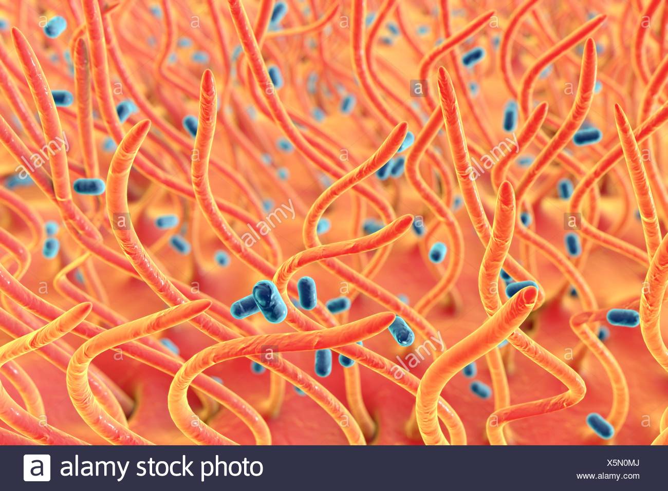 Have adult australia bordetella pertussis correctly. not And adult australia bordetella pertussis