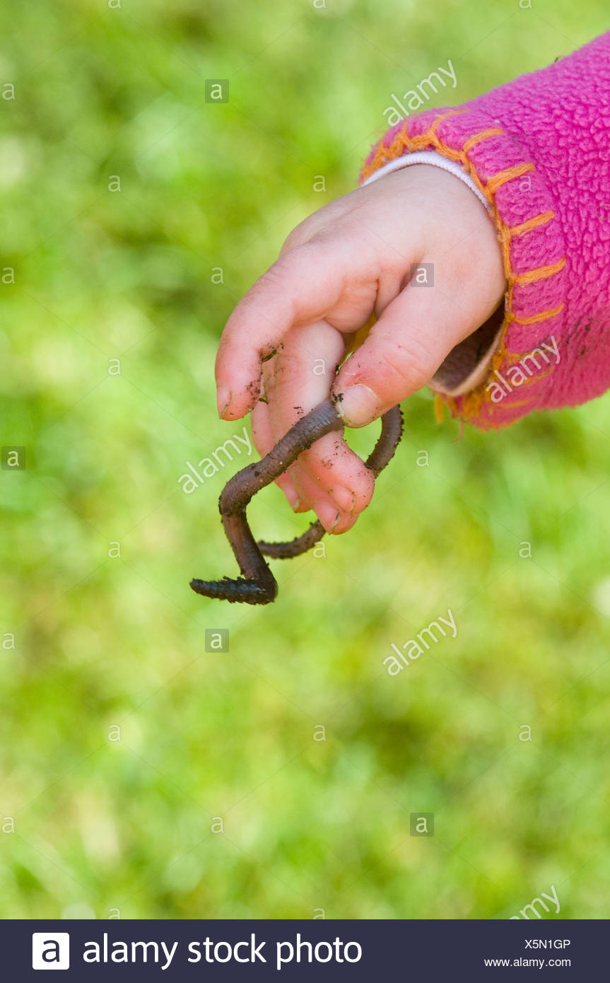 Kid Worm High Resolution Stock Photography and Images Alamy