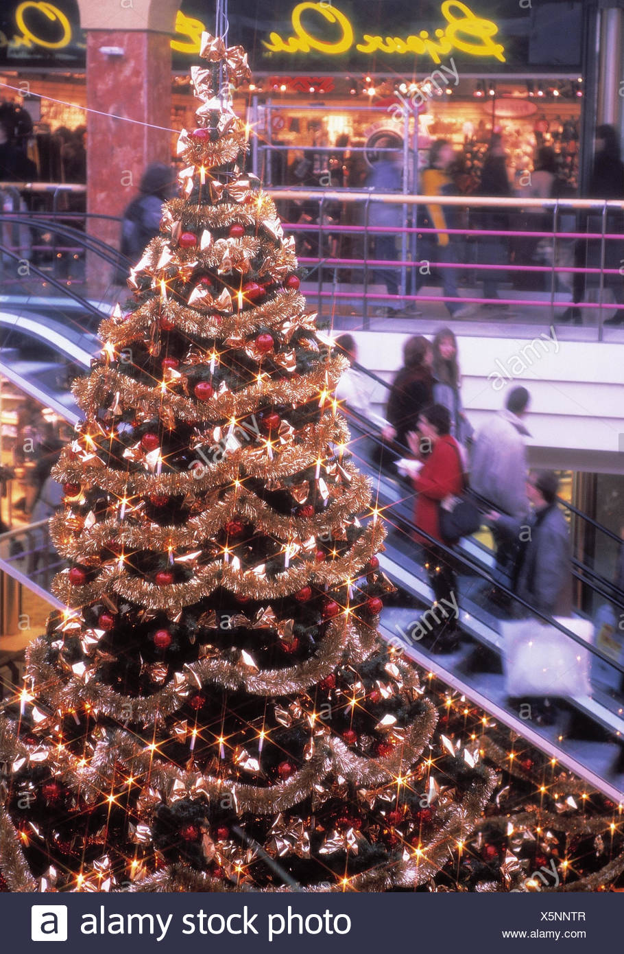 who sells christmas trees