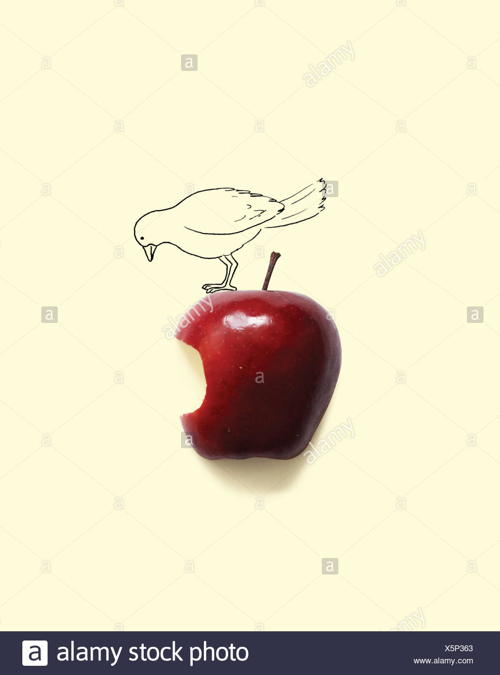 Conceptual bird on apple with a bite missing Stock Photo
