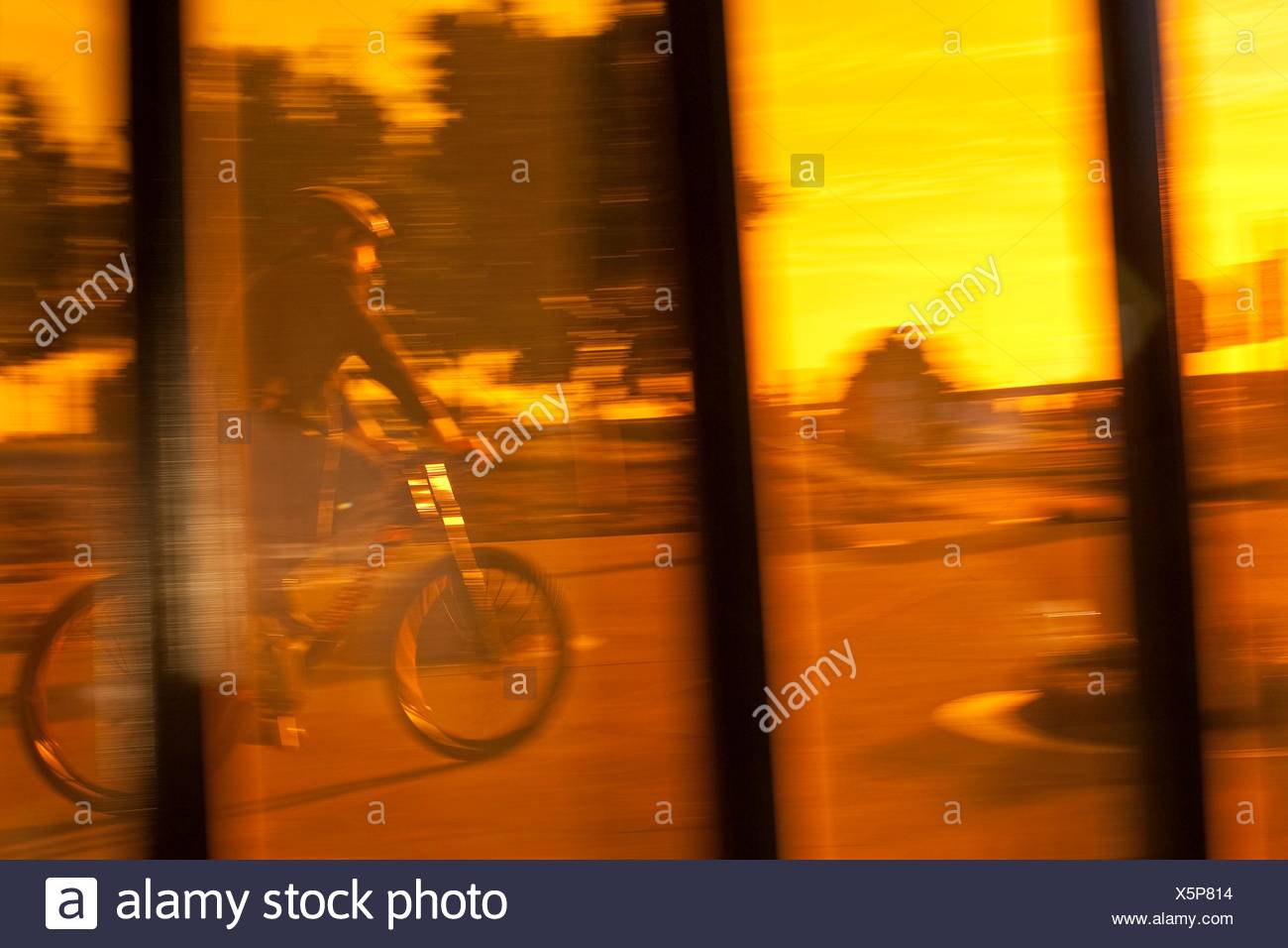 orange push bike