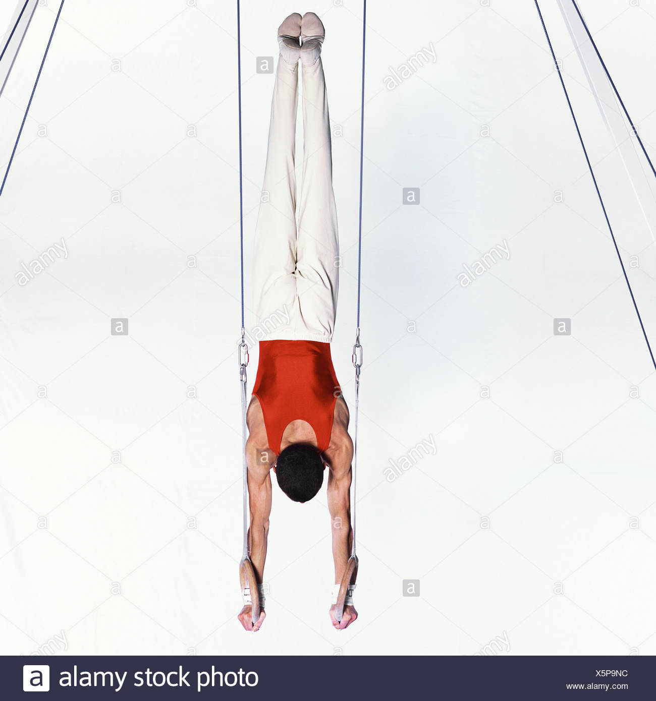 handstand rings