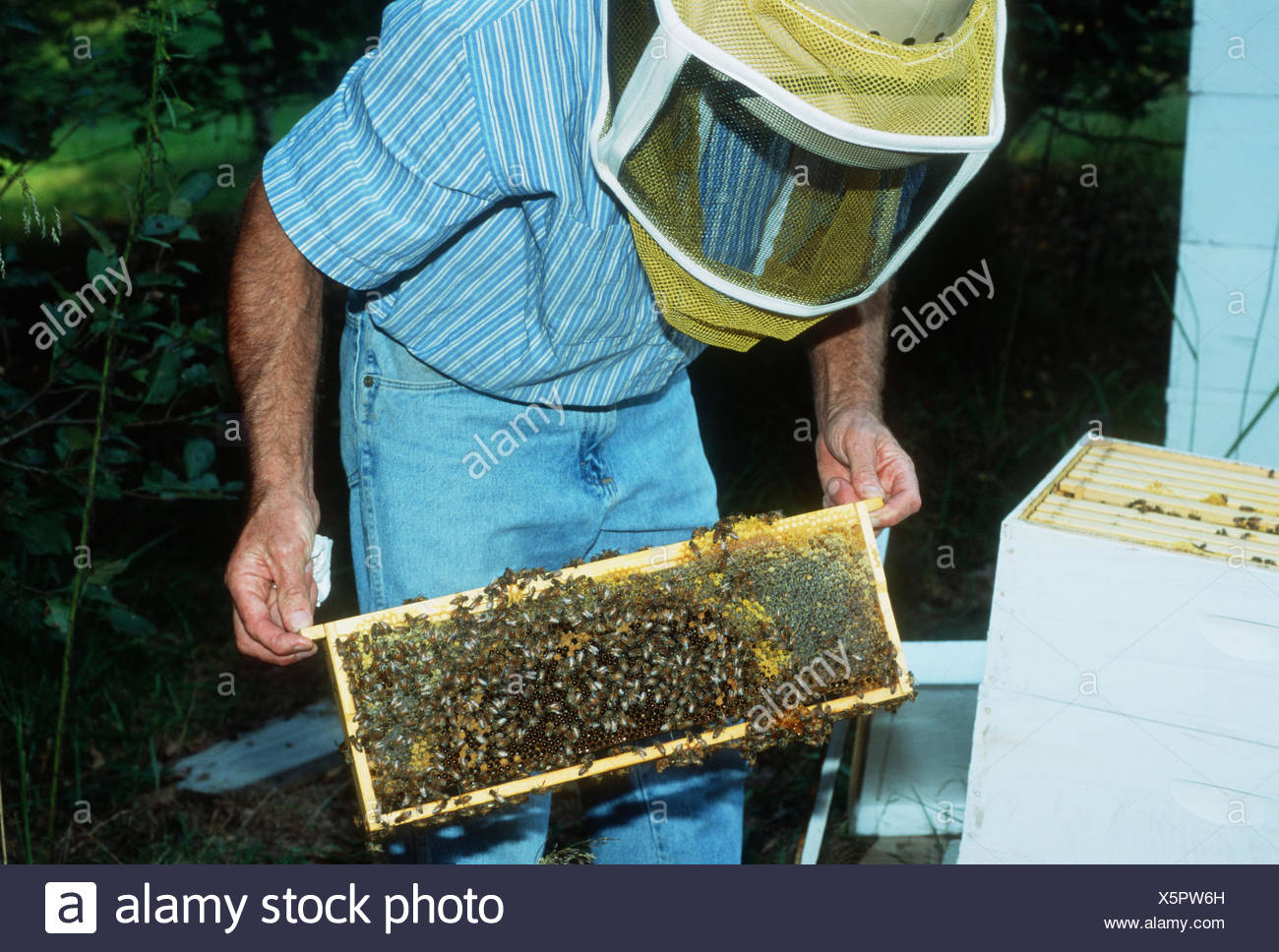 BEE KEEPER STREET SIGN bee hive local honey smoker bee keeper supplies bee