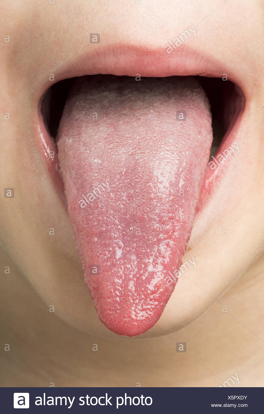 Mouth Open Showing Tongue High Resolution Stock Photography and Images