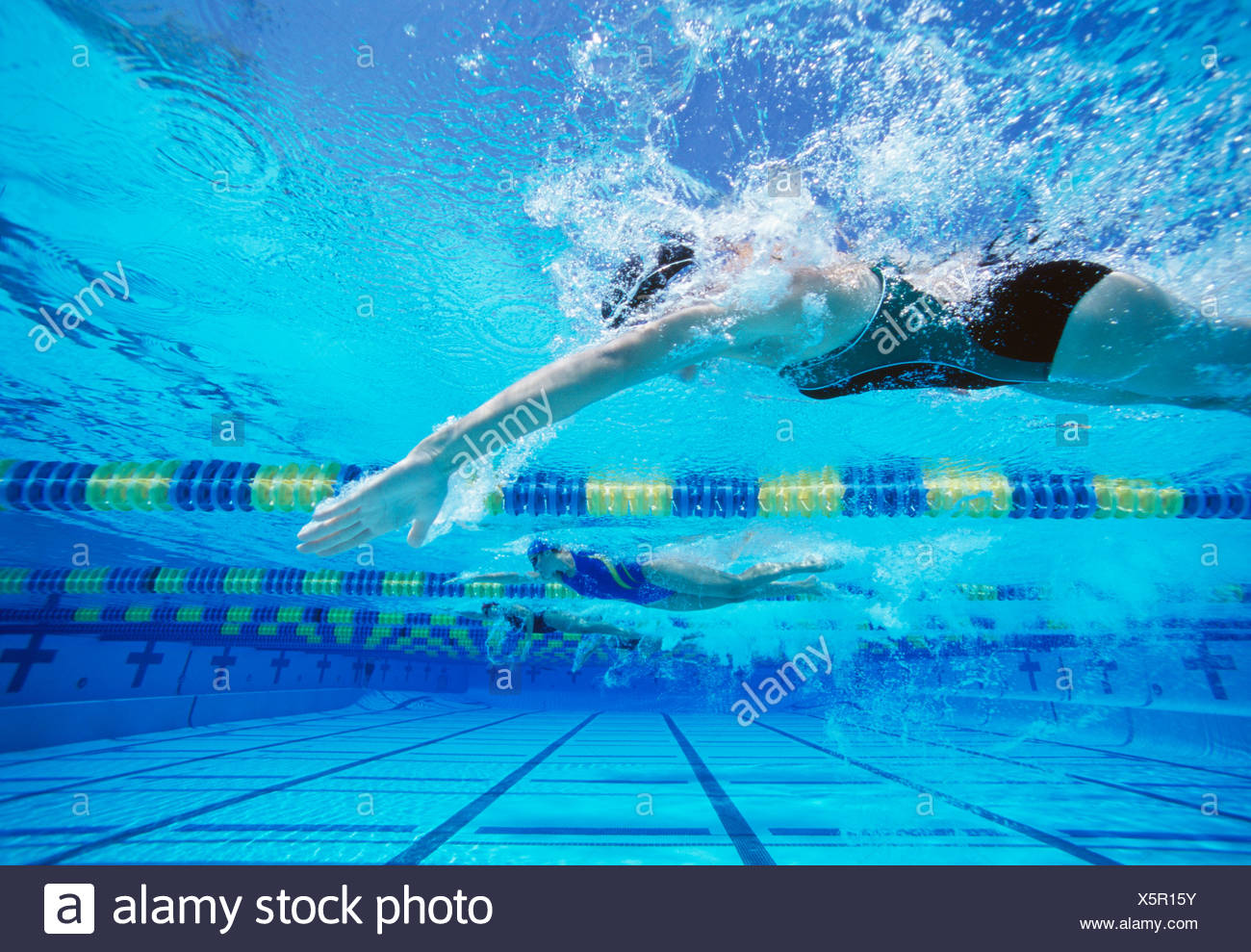 Swimmers Racing High Resolution Stock Photography and Images Alamy
