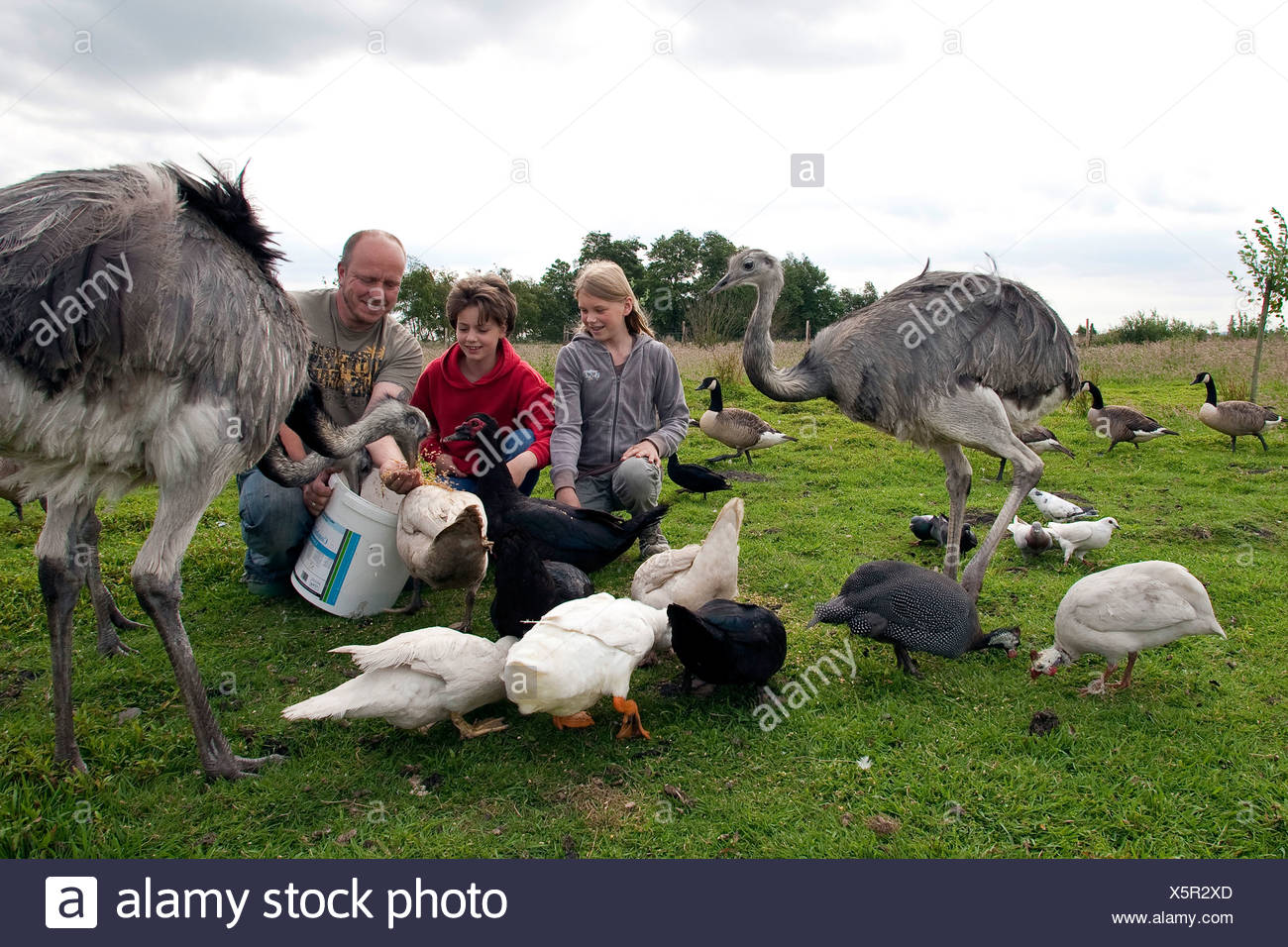 Human Feeding Birds High Resolution Stock Photography and Images Alamy