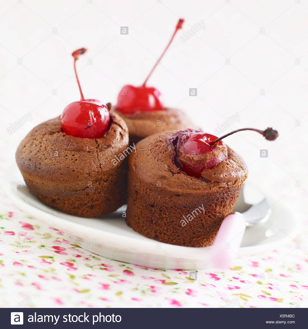 Individual Chocolate Cake High Resolution Stock Photography And Images Alamy