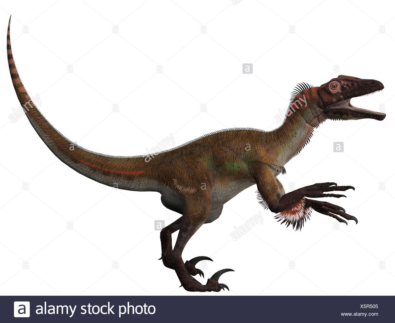 Utahraptor Stock Photo: 278947989 - Alamy