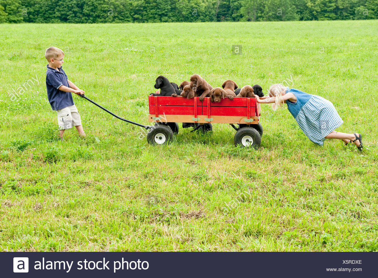 Boy Pulling Wagon High Resolution Stock Photography and Images Alamy