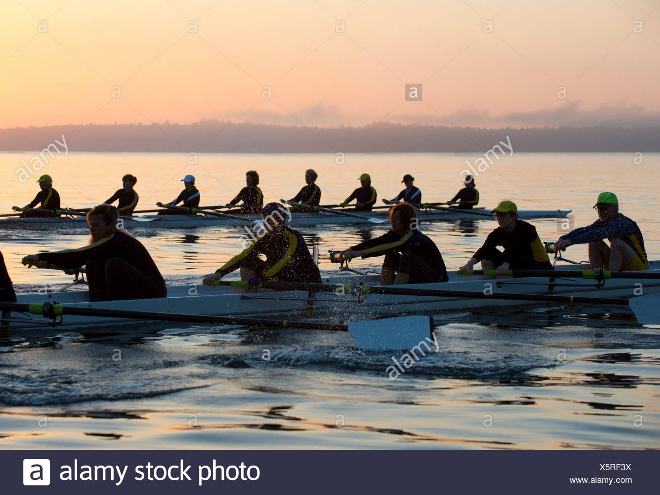 Rowing Silhouette High Resolution Stock Photography and Images - Alamy