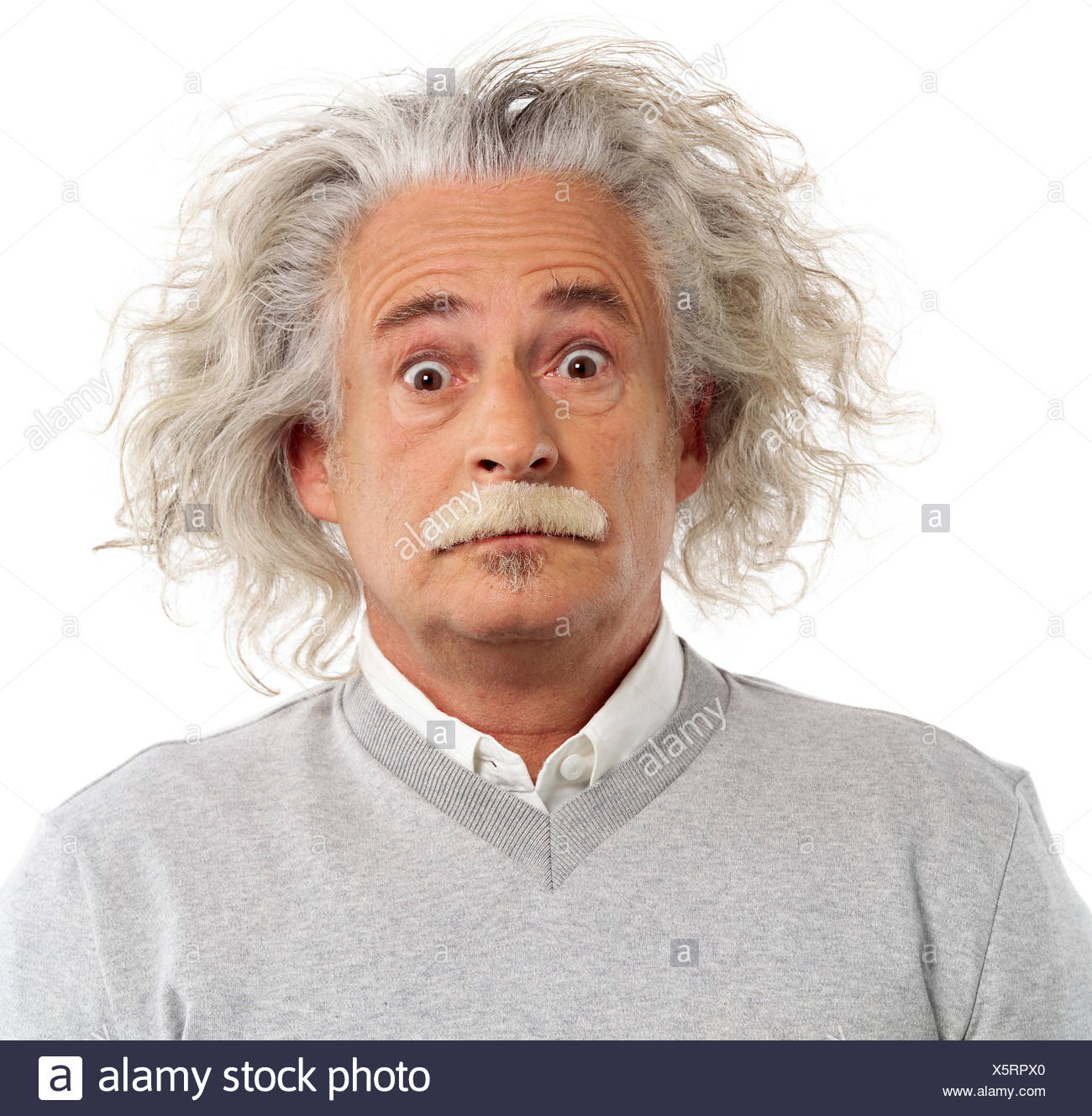 Man Terror Imitation Albert Einstein Portrait Man S Portrait