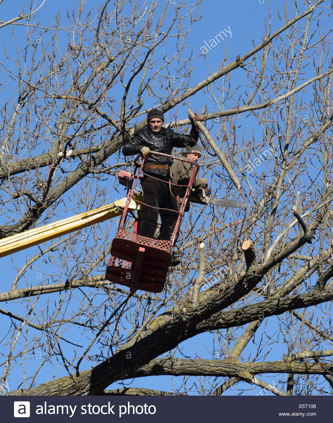 Trimming Tree Lift Arm High Resolution Stock Photography and Images Alamy