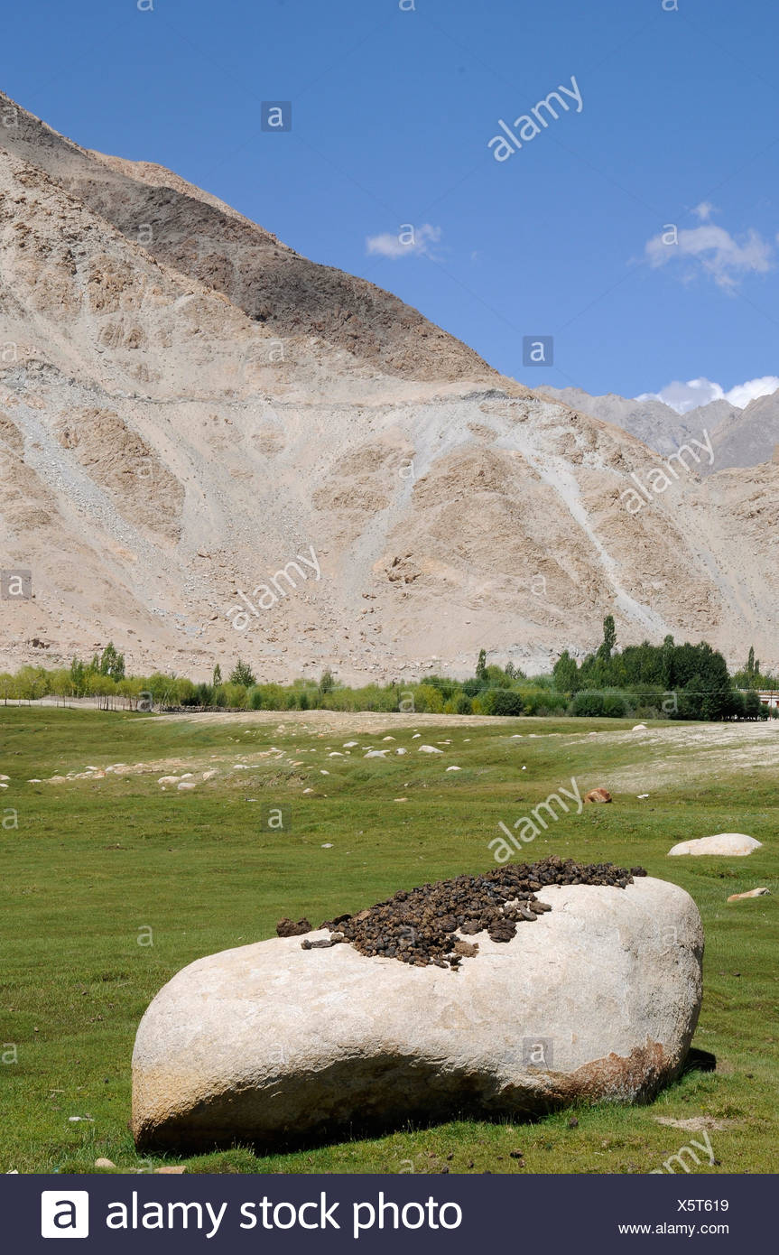 Indian Cow Dung High Resolution Stock Photography and Images - Alamy