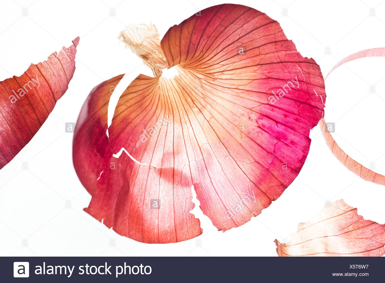 Onion Skin High Resolution Stock Photography and Images - Alamy
