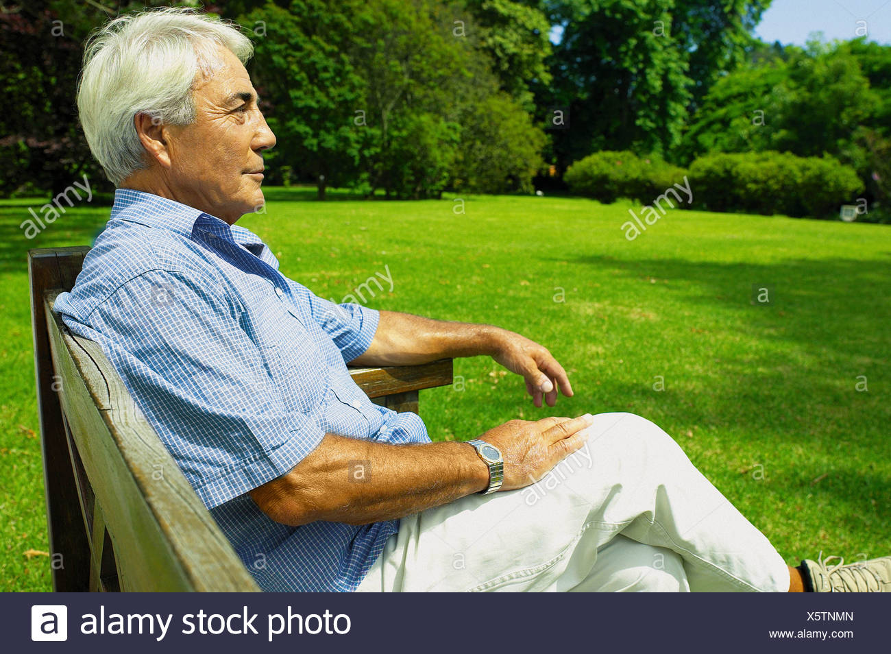 Old Man Bench Alone High Resolution Stock Photography and Images - Alamy