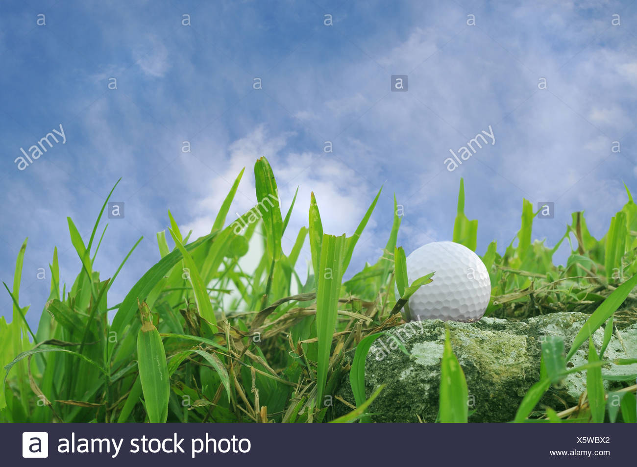 Out Of Bounds High Resolution Stock Photography and Images Alamy