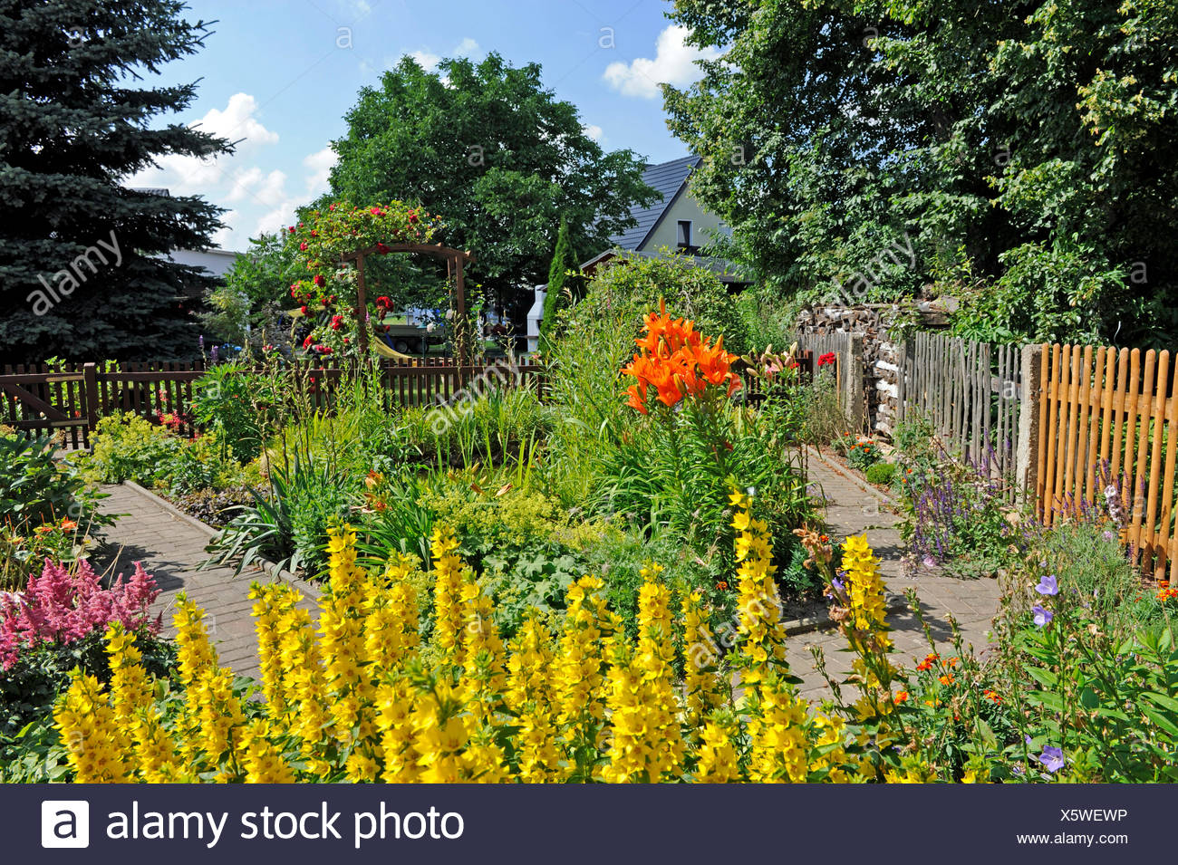 Of Romantic Cottage Gardens With Blossoming Summer Flowers And