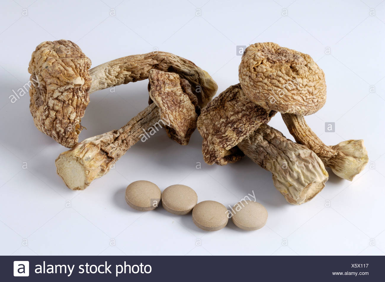 Matsutake Mushrooms Stock Photos & Matsutake Mushrooms Stock Images Alamy