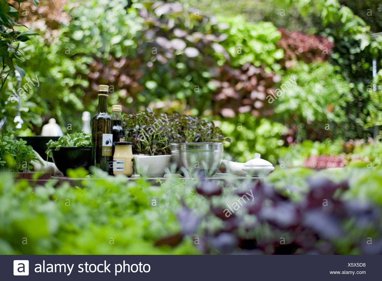 Chelsea Flower Show Detail Image Of Outdokitchen Herbs Bowls And