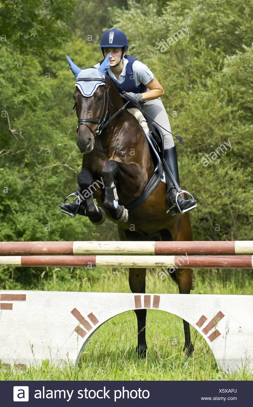 Girl Jumping Thoroughbred Horse High Resolution Stock Photography and