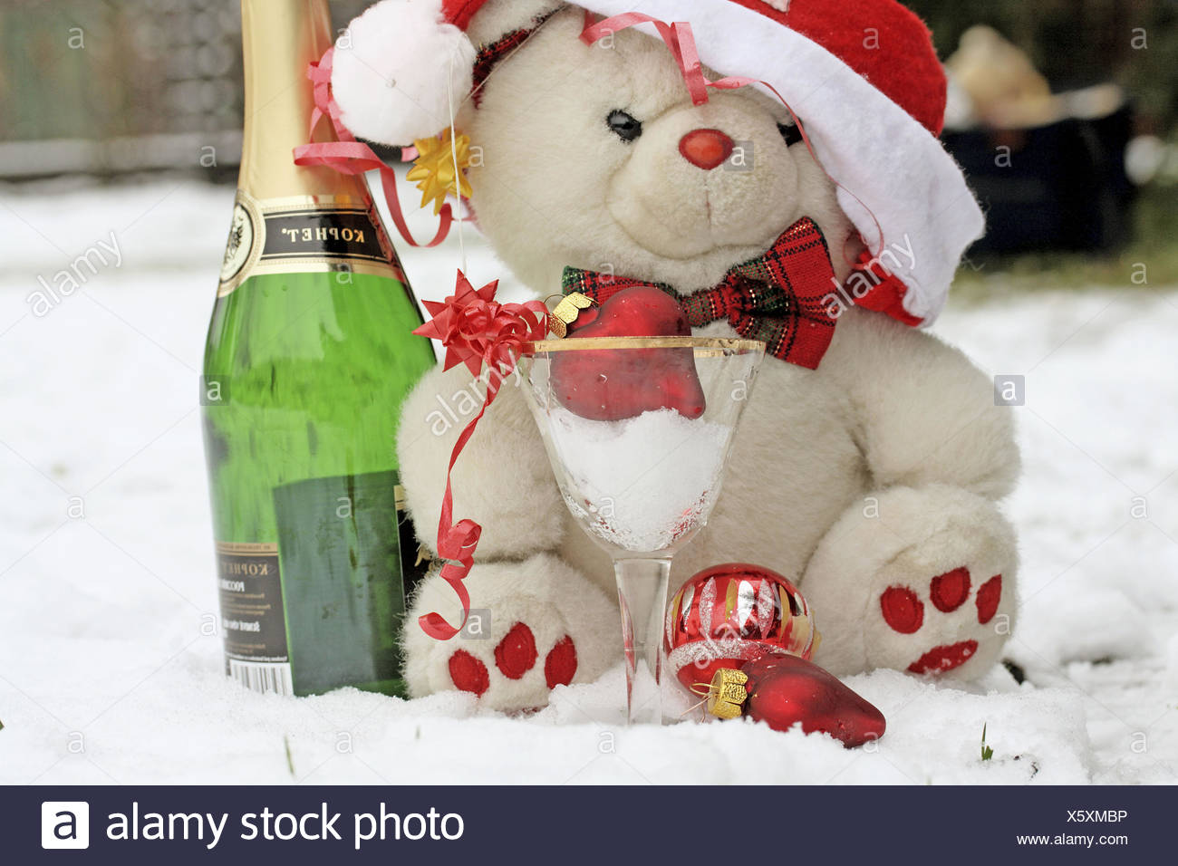 white christmas teddy bear