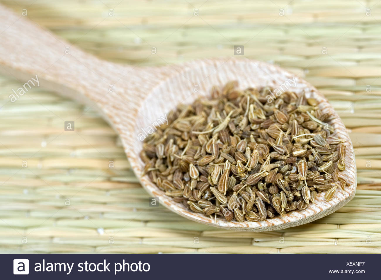 spice spices anise Stock Photo