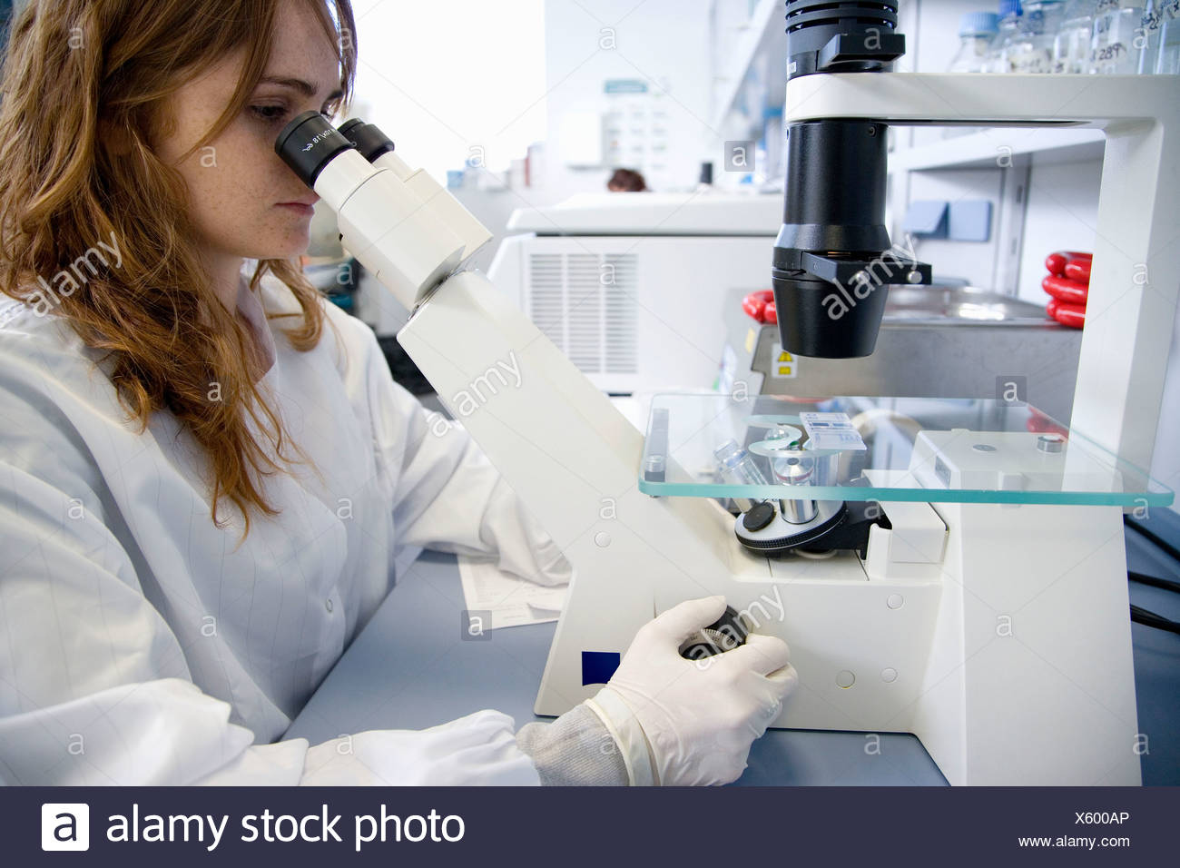 Cell Counting High Resolution Stock Photography and Images Alamy