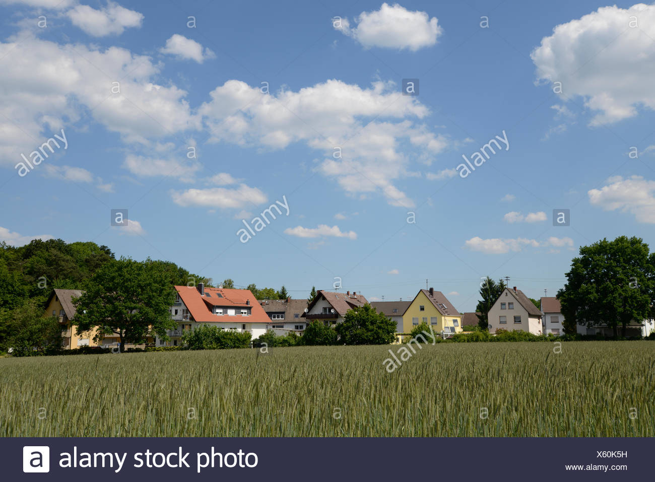 Felder Gotzenhain Feld Dreieich Dreieich Gotzenhain Roggen Roggenfeld Landwirtschaft Siedlung Haus Wohnhaus Hauser Wohnhauser Sommer Stock Photo Alamy Felder Gotzenhain Feld Dreieich Dreieich Gotzenhain Roggen Roggenfeld Landwirtschaft Siedlung Haus Wohnhaus Hauser Wohnhauser Sommer Stock Photo Alamy