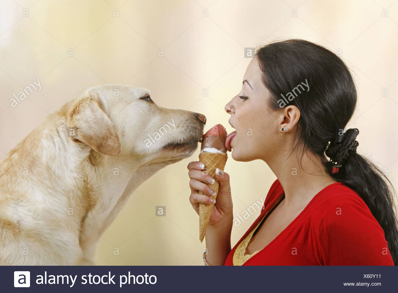 Dogs Eating Ice Cream Stock Photos & Dogs Eating Ice Cream Stock Images