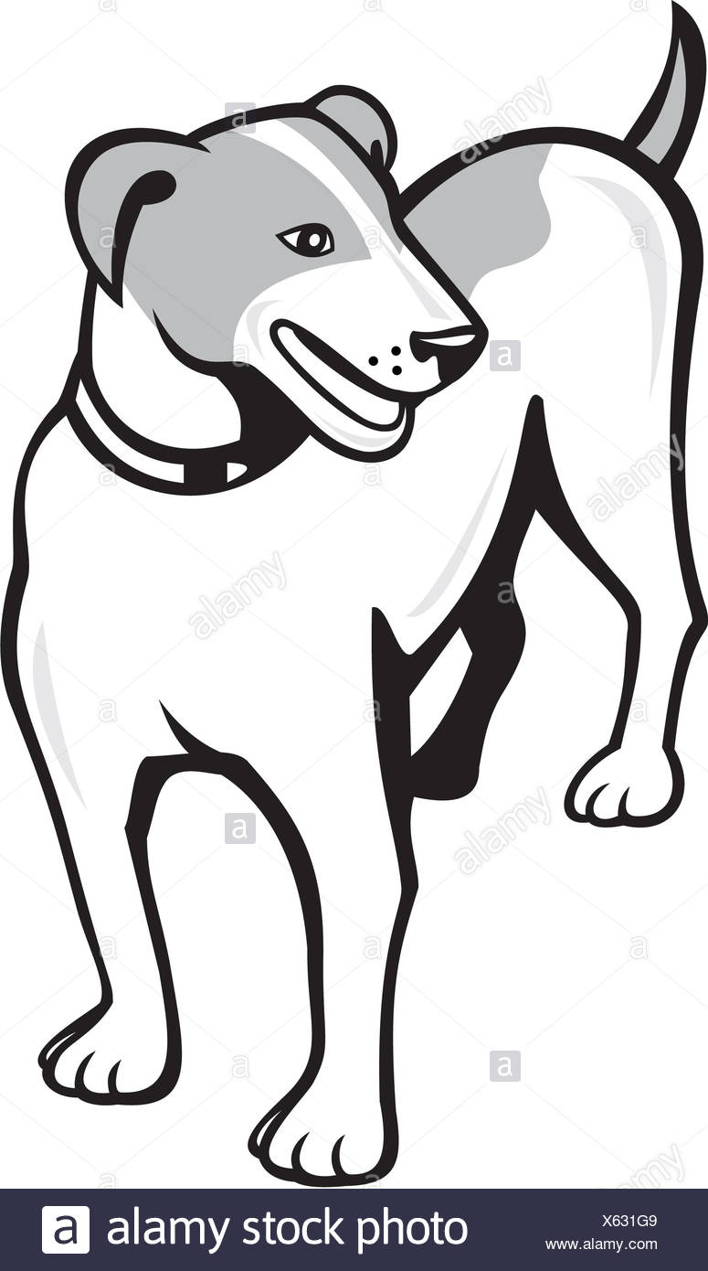 Cartoon Terrier Stock Photos &amp; Cartoon Terrier Stock