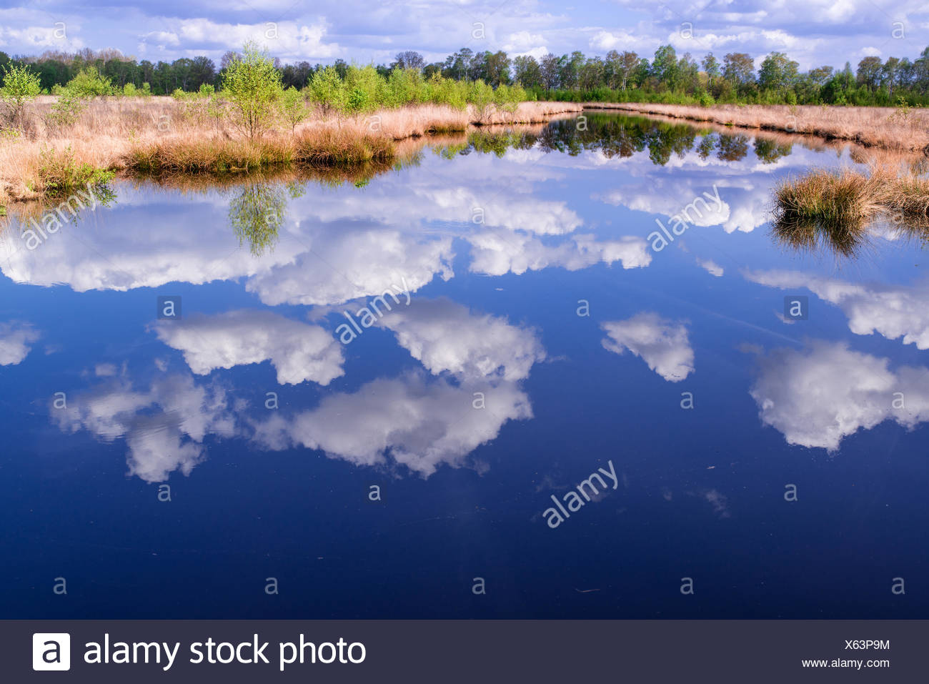 moor landscape Stock Photo